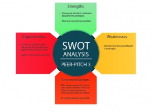 SWOT Analysis Peer Pitch 3