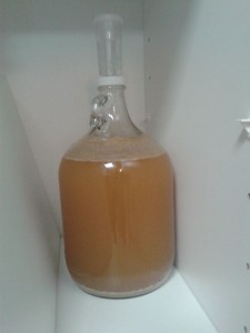 Letting the yeast do its job! 